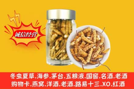 昆明高价上门回收散虫草